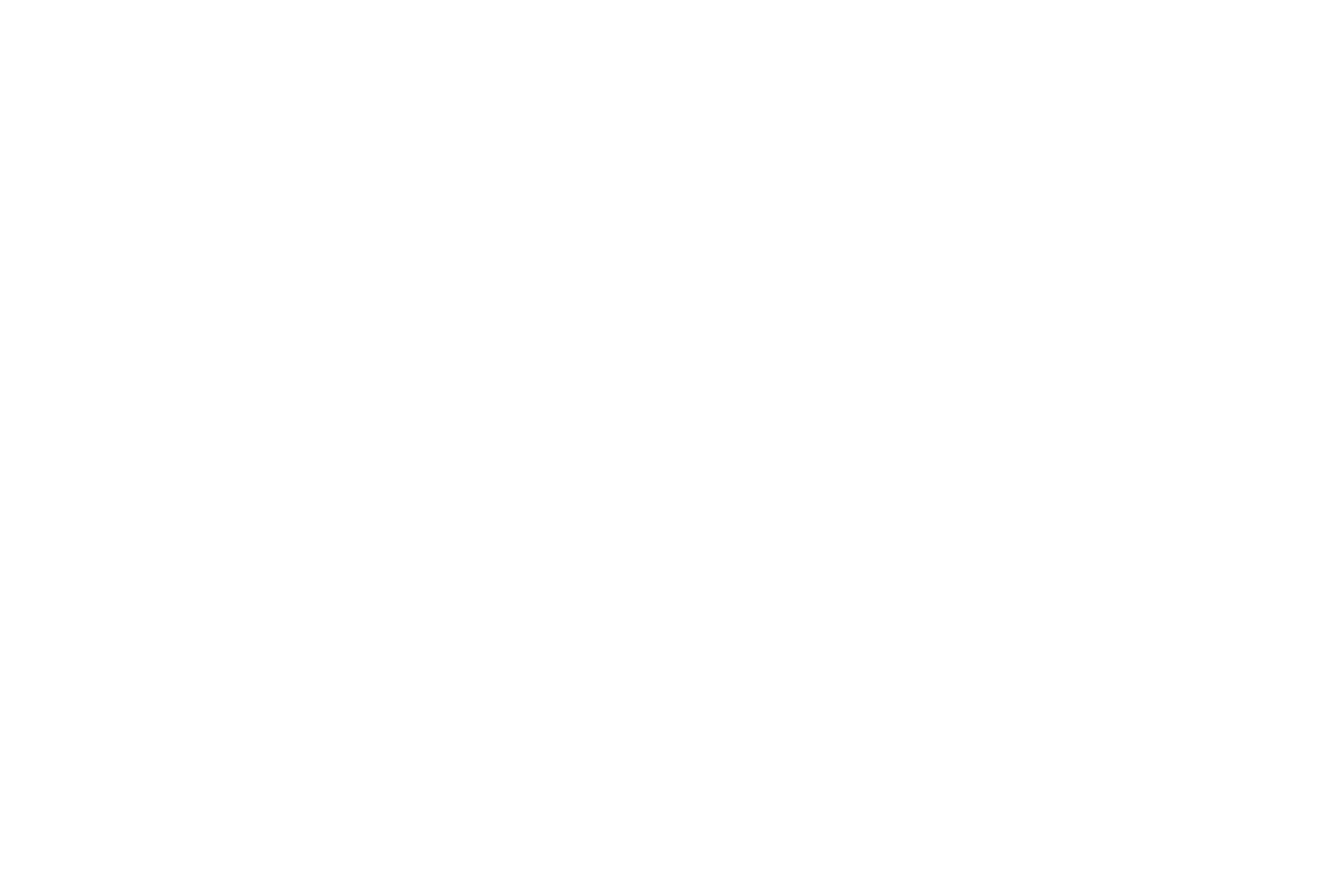 Instagram-Wordmark-White-Logo.wine
